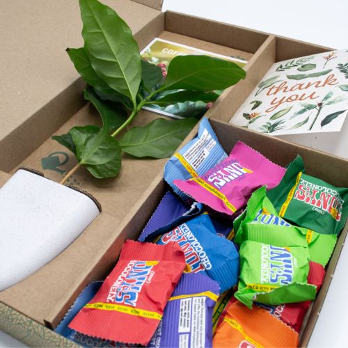 Cadeau arbre avec Tiny Tony's - image 9